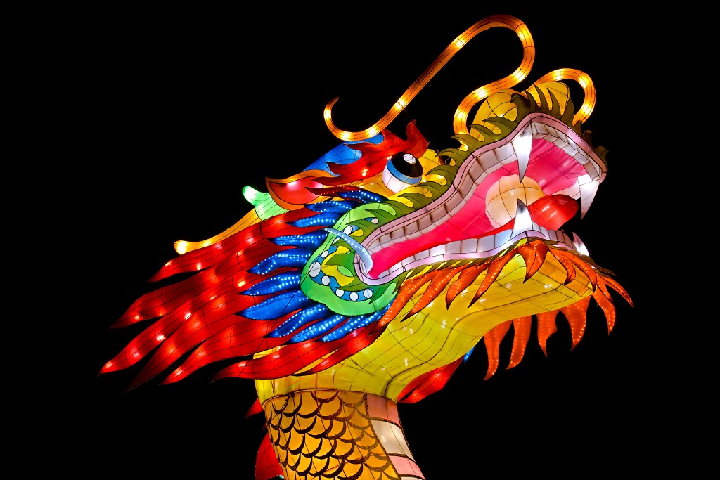 china light licht festival lichtshow show festiviteit glow evenement event chinees chinese verlichting draak dragon lichtfestival zoo